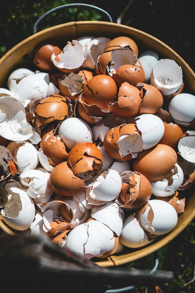 brown-and-white-plastic-egg-toy-ac7qwu5xloo