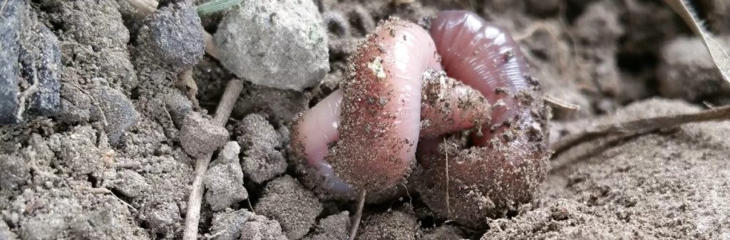 imgi-10-20200430-104353