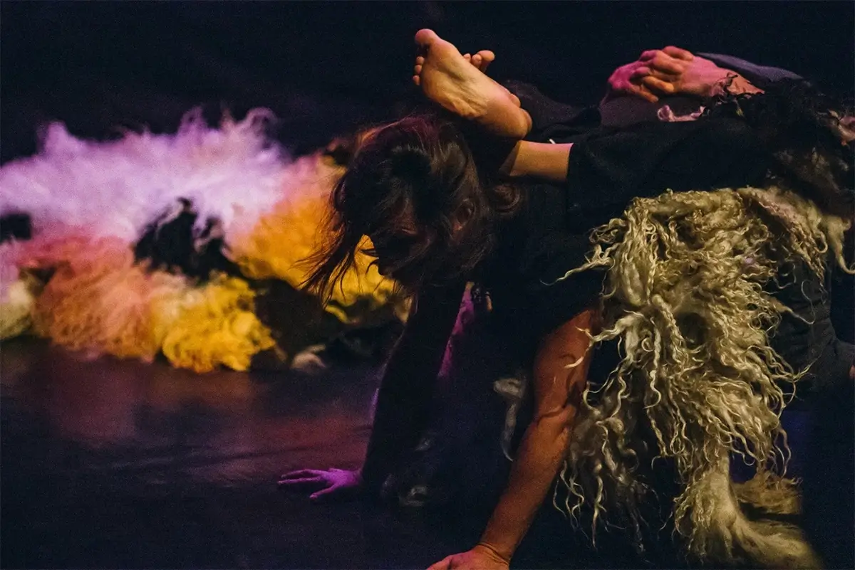 doula terra compolab