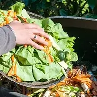 grundkurs kompostieren brig 200px