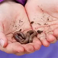 umweltbildung compolab klein