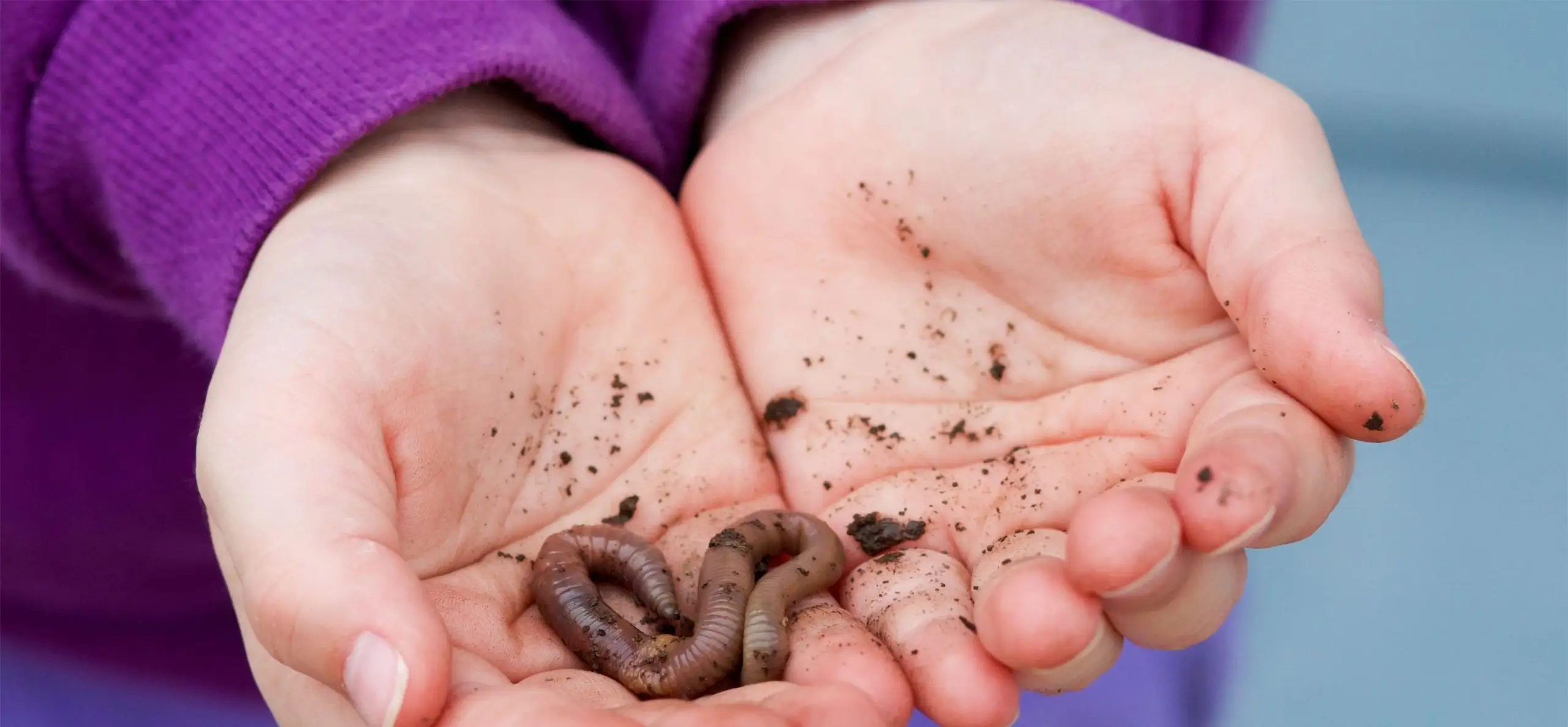 umweltbildung compolab